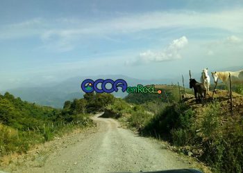 La horma