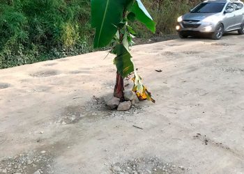 Mata platanos carretera Nizao Rancho Arriba