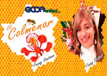 libro y foto Colmenar