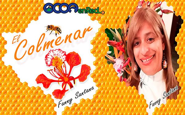 libro y foto Colmenar