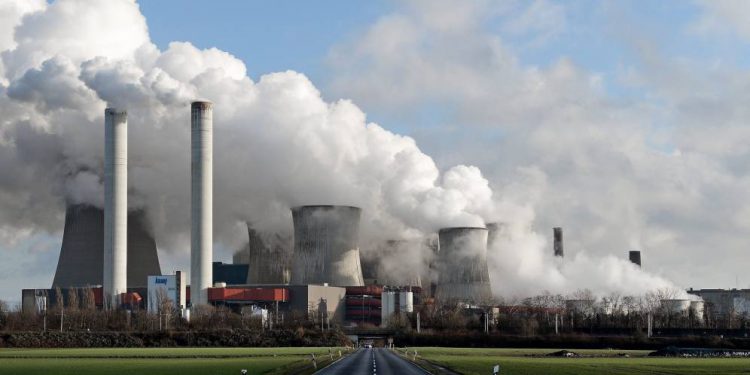 Cambio climatico plantas