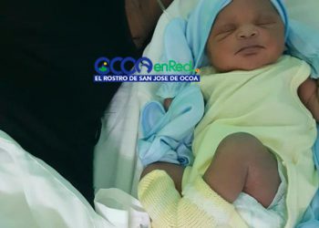 primera bebe 2019 ocoa