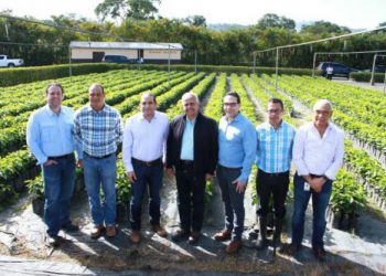 INDUBAN PLATAS ministerio agricultura