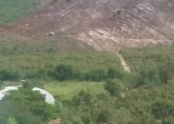 deforestacion Castillos