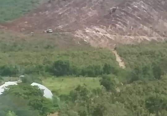 deforestacion Castillos