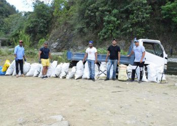 sacos basurass Avispas Semana Santa