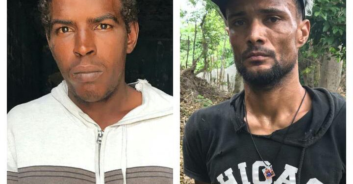 Cabito y negro sucio