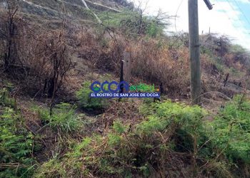 sabotaje postes edesur