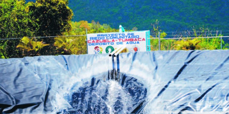 ocoa Los Martinez