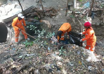 JORNADA DENGUE BASURA