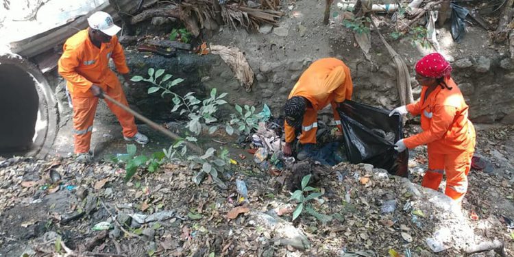 JORNADA DENGUE BASURA