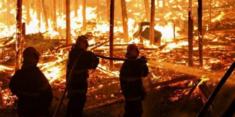 Los incendios 1024x550