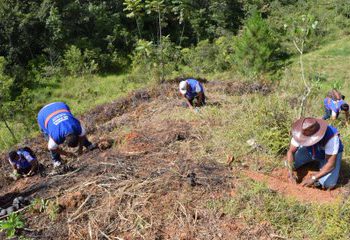 Jornada reforestacion Defensor del pueblo Ocoa