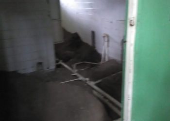 liceo jose nunez casere