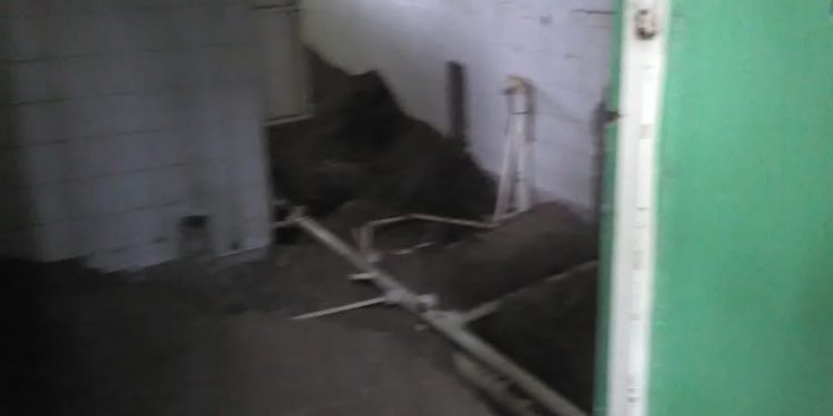 liceo jose nunez casere