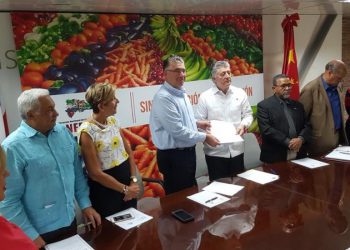 mercado chino 1 1024x550