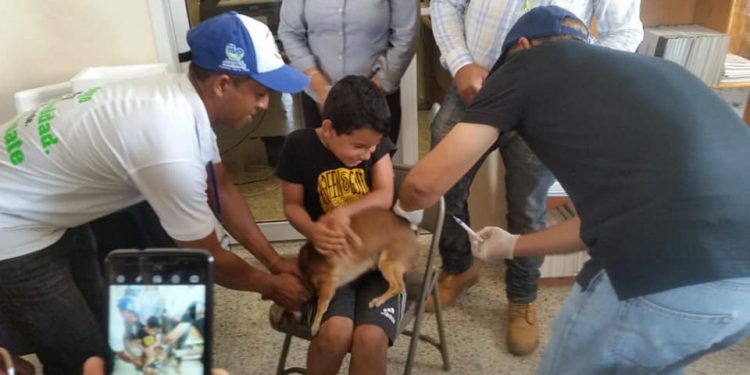 jornada vacunacion perros