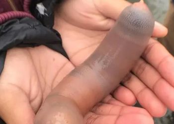 peces pene kP1 620x349abc