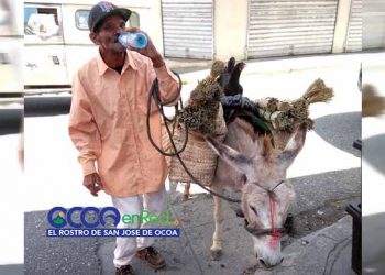 dariomartinezescobas