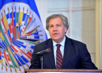 oea auditoria
