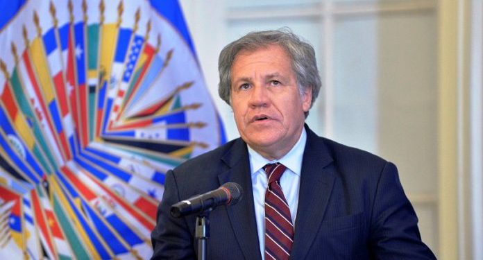 oea auditoria