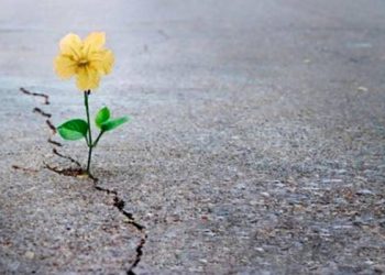 Sin Esperanza no hay vida