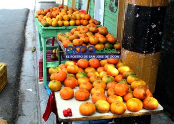 Viaje en fotos: Desde Piedra Blanca, Rancho Arriba hasta Sabana Larga