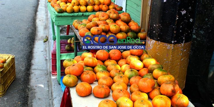 Viaje en fotos: Desde Piedra Blanca, Rancho Arriba hasta Sabana Larga