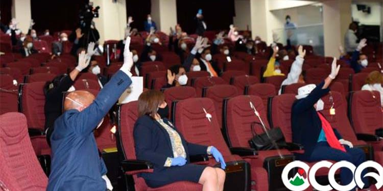 Cámara Diputados aprueba 15 de prórroga para Estado de Emergencia