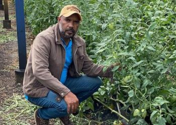 Sabana Larga: Por Coronavirus su siembra ha ido a parar al «botadero»