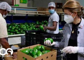 En Ocoa Raquel Peña dice “Programas sociales deben incluir trabajador de la tierra”