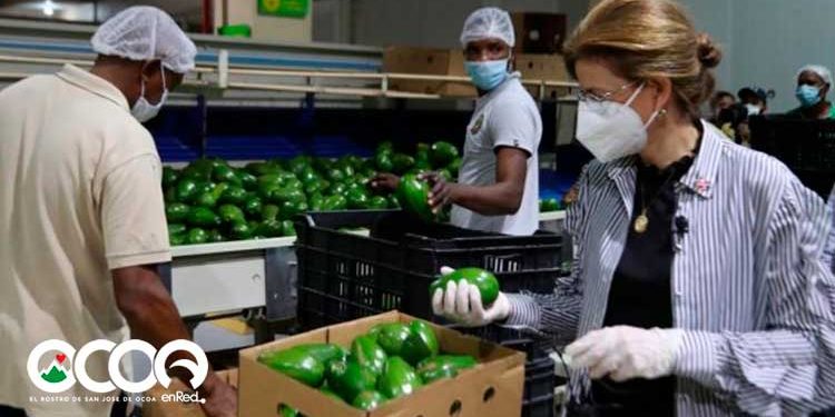 En Ocoa Raquel Peña dice “Programas sociales deben incluir trabajador de la tierra”