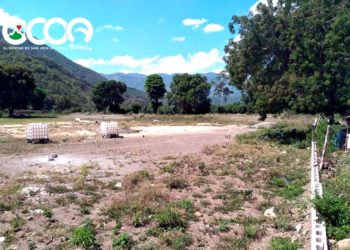 Fotos: Remodelación paralizada; Play de Softball de Sabana Larga se convierte en “criadero de chivos”