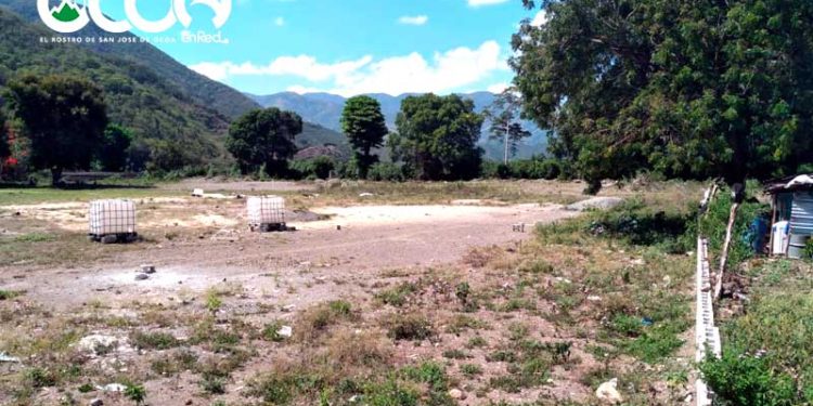 Fotos: Remodelación paralizada; Play de Softball de Sabana Larga se convierte en “criadero de chivos”