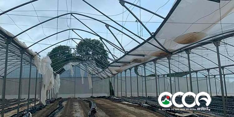 Vientos de tormenta Isaías provocan daños en Ocoa