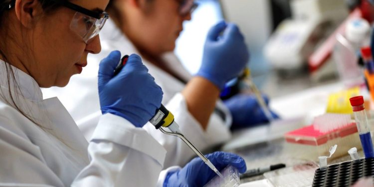 La vacuna de Oxford logra activar al sistema inmunitario