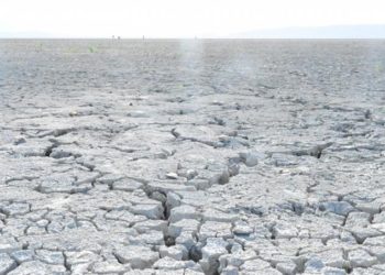 La laguna Rincón pasa de tesoro natural a un lugar desértico
