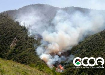 VIDEO: Lomas de Ocoa en estado de Emergencia Ambiental