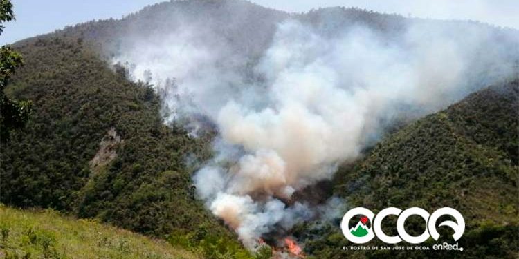 VIDEO: Lomas de Ocoa en estado de Emergencia Ambiental