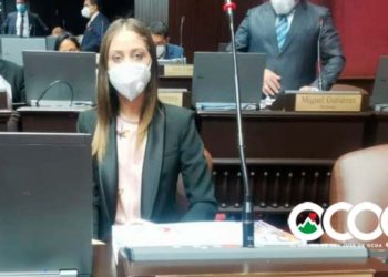 Eligen a Yari Encarnación vicepresidente Comisión Permanente de Agricultura CD