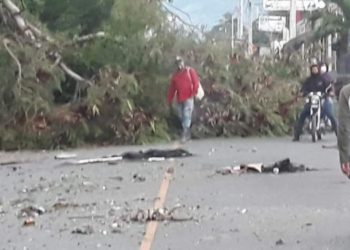 Por constantes apagones tumban árboles y lanzan escombros en carretera Ocoa-Sabana Larga