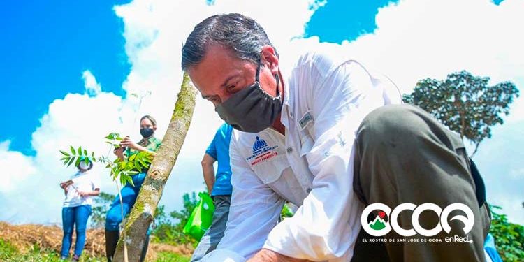 Ministro de Medio Ambiente participará en jornada de reforestación este sábado en Las Malaguetas