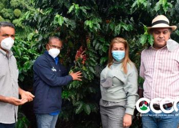 Gobernadora y director de UTEPDA realizan encuentro con caficultores en Rancho Arriba