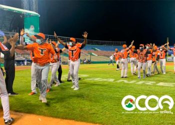 Toros del Este le lanzan un No-Hitter al Licey
