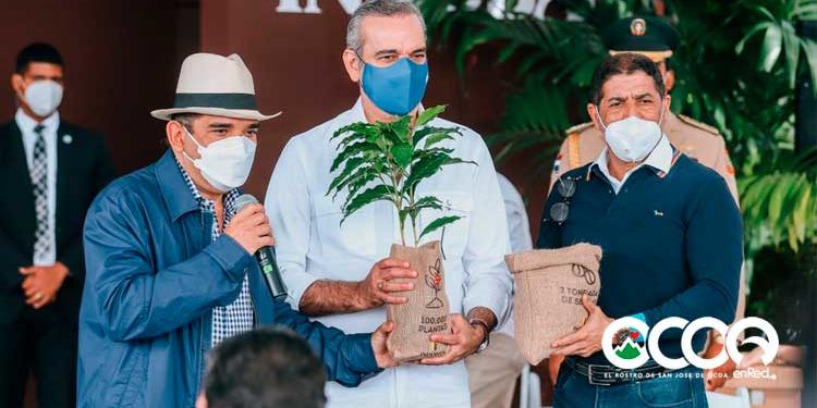 Gobierno financiará RD$1,000 millones a tasa cero a productores de café