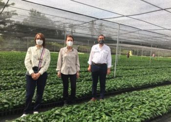 Medio Ambiente declara primera área protegida privada de la región Sur del país