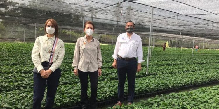 Medio Ambiente declara primera área protegida privada de la región Sur del país