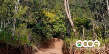 Camino a Jigüey