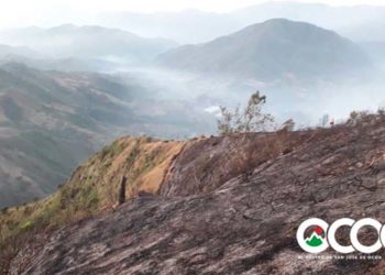 Incendio en Los Corozos está controlado