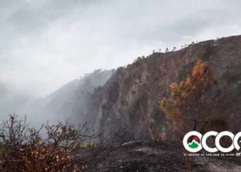 Ministro de Medio Ambiente: Cabeza del fuego en Los Carozos está controlado y extinguido
